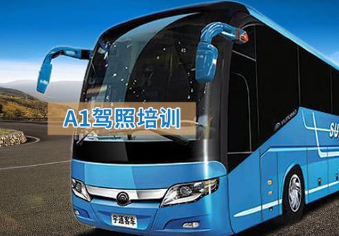 A1駕照培訓(xùn)