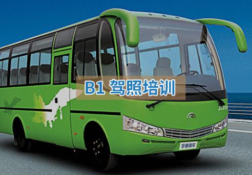 B1駕照培訓(xùn)